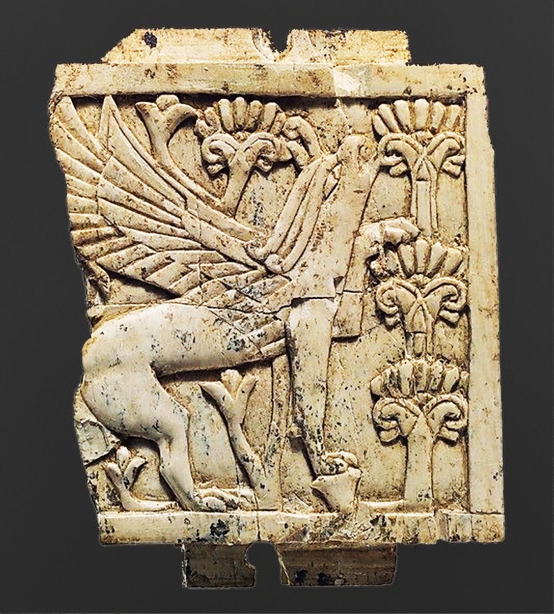 Plakett som viser en Griffin, Nimrud, Mesopotamia, 8.-7. århundre f.Kr. av Unbekannt