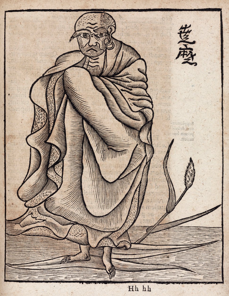 Portrett av Bodhidharma (v av Unbekannt