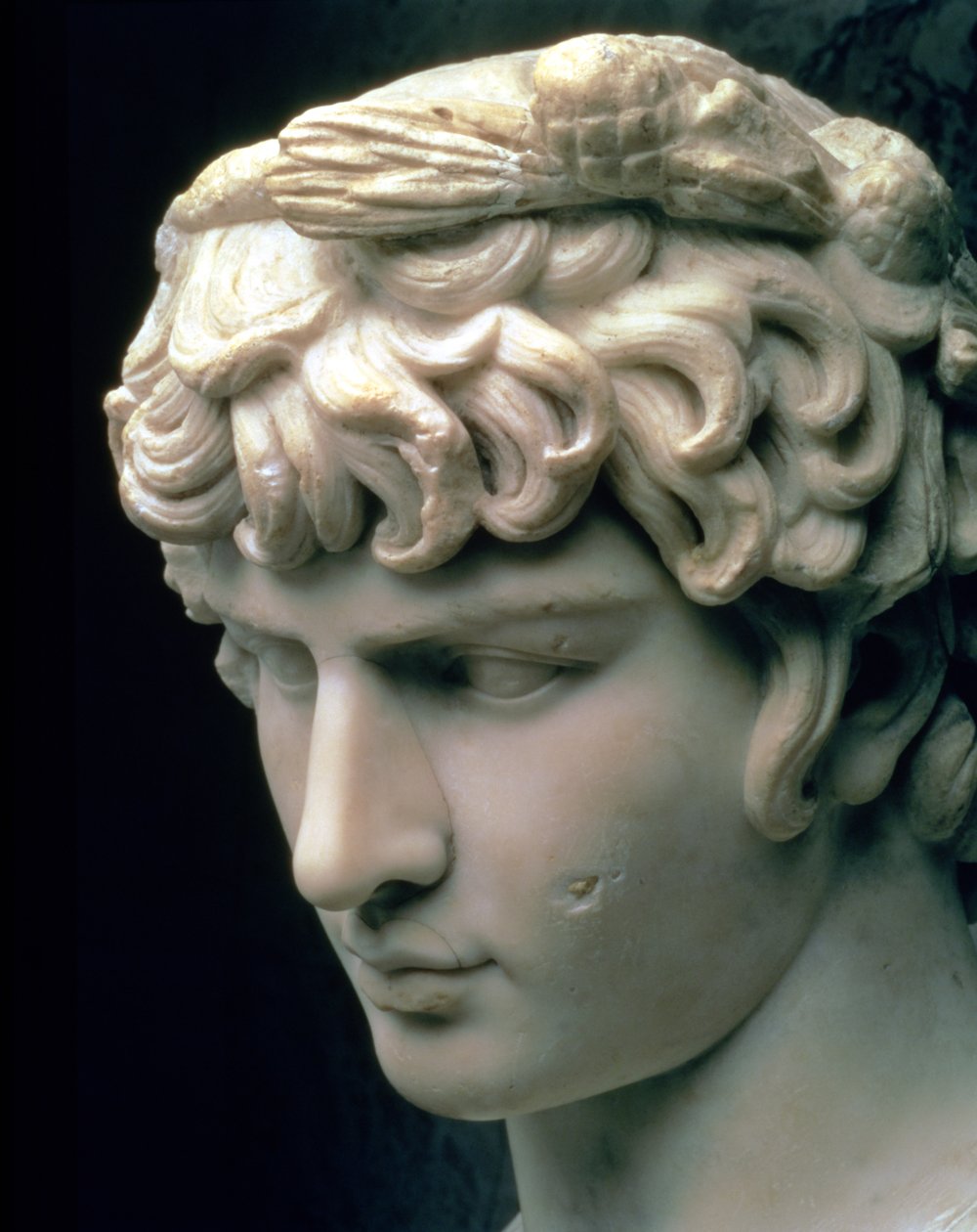 Portretthode av Antinous iført krans av Dionysos, en del av en statue fra villaen til keiser Hadrian i Tivoli, romersk, 2. århundre (marmor) av Unbekannt