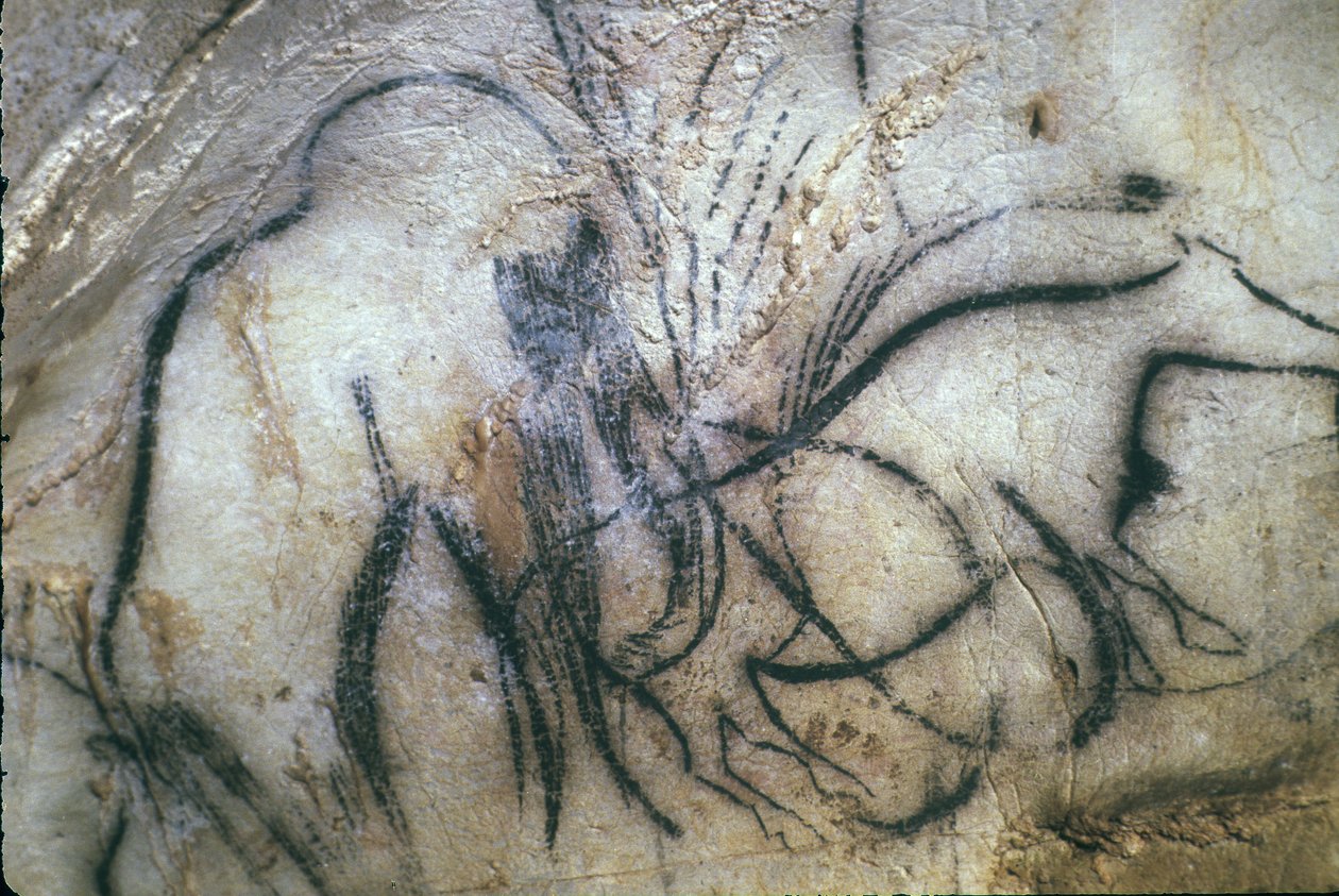 Forhistorisk grotte Pech Merle/Mamutenes kapell/25 000 år/Cabrerets/Lot/Midi Pyreneene/Frankrike av Unbekannt