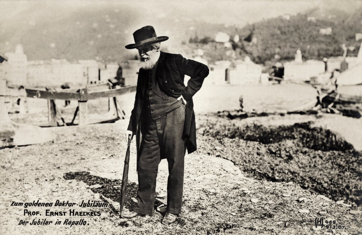 Professor Ernst Haeckels i Rapallo, Italia (s/hvitt-bilde) av Unbekannt