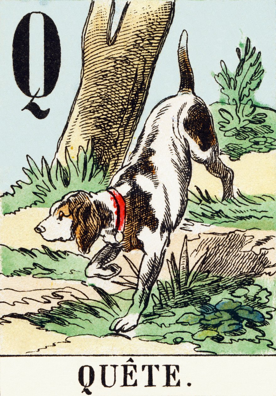 Q : Quete - AThe Hunting Alphabet, ca. 1890 (gravering) av Unbekannt