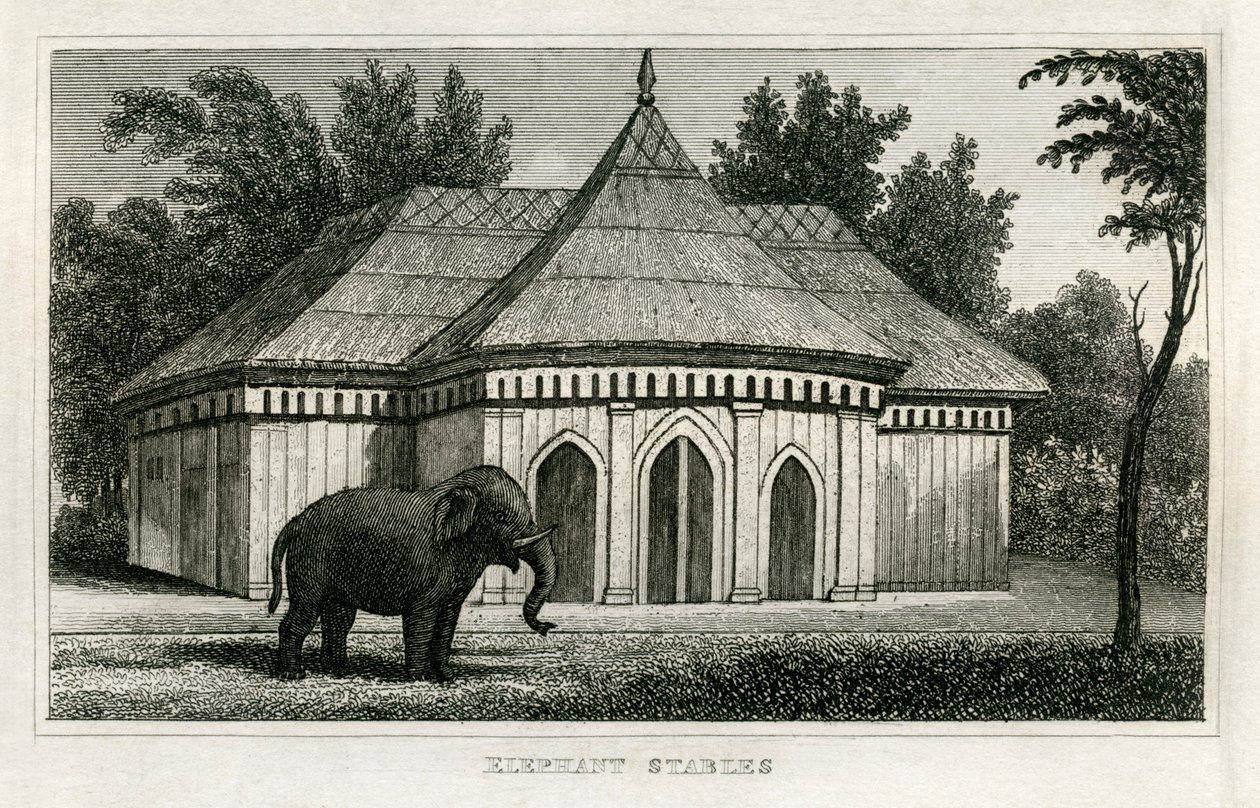 Regent's Park Zoo av Unbekannt
