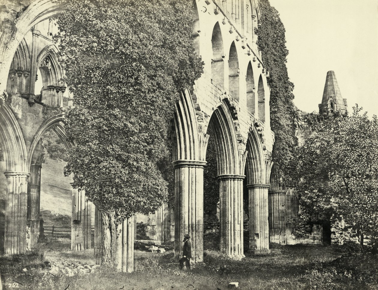 Rievaulx Abbey, North Yorkshire, Storbritannia (s/hvitt-bilde) av Unbekannter Künstler