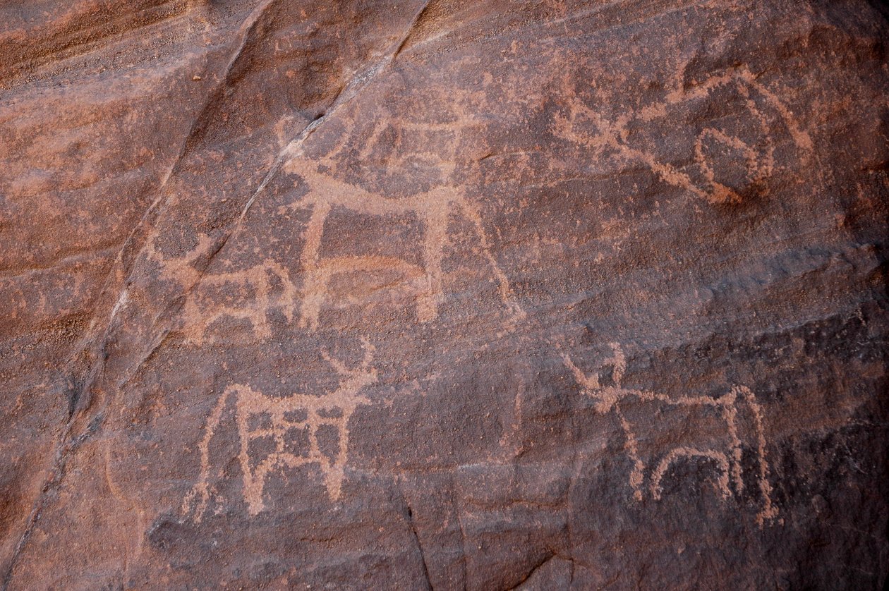 Bergkunst, Prehistoire: Gravering av et sett med storfe, hvorav ett er nederst til venstre, i Uweinat-massivet, Egypt. (Periode fra 8000 til 3000 år f.Kr.). Fotografering av Unbekannt