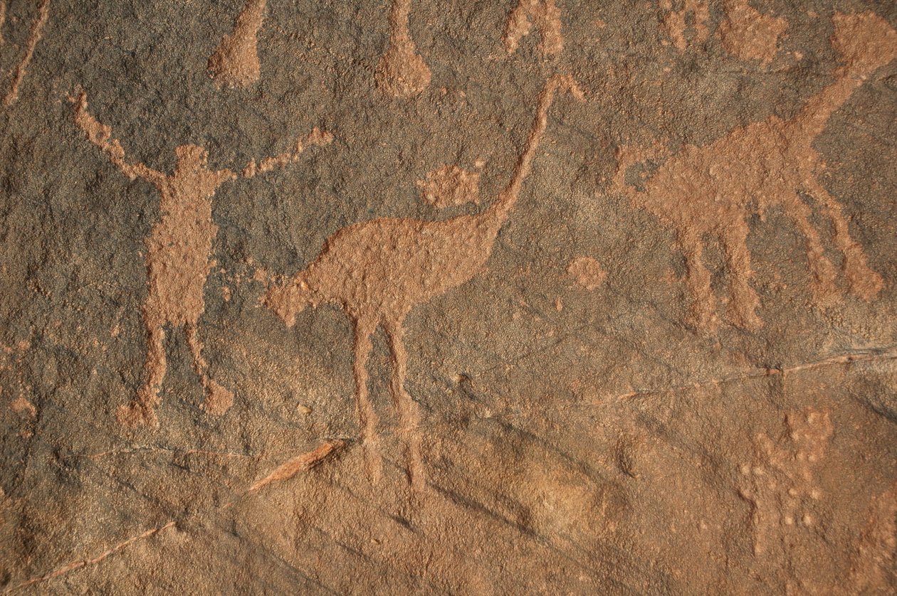 Bergkunst, forhistorie: Gravering av en karakter og strutser i Uweinat-massivet, Sudan (Karkur-Talh eller Karkur Talh). Periode fra 8000 til 3000 år f.Kr. Fotografering av Unbekannt
