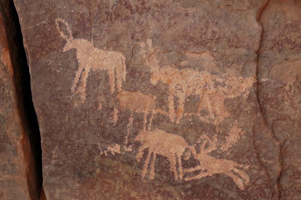 Bergkunst, forhistorie: Gravering av et sett med antiloper og en hund (nederst til høyre) i Uweinat-massivet, Egypt. (Periode fra 8000 til 3000 år f.Kr.). Fotografering av Unbekannt