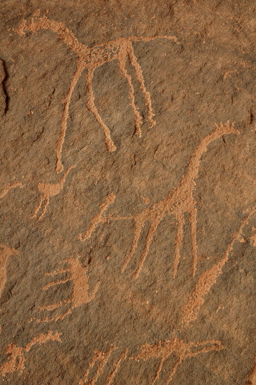 Bergkunst, forhistorie: Gravering av sjiraffer, strutser, andre dyr og karakterer i Uweinat-massivet, Sudan (Karkur-Talh eller Karkur Talh). Periode fra 8000 til 3000 år f.Kr. Fotografering av Unbekannt