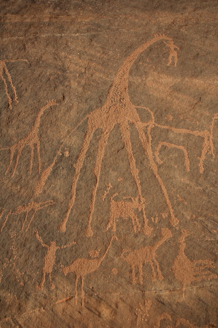 Bergkunst, forhistorie: Gravering av sjiraffer, strutser, sauer og karakterer i Uweinat-massivet, Sudan (Karkur-Talh eller Karkur Talh). Periode fra 8000 til 3000 år f.Kr. Fotografering av Unbekannt