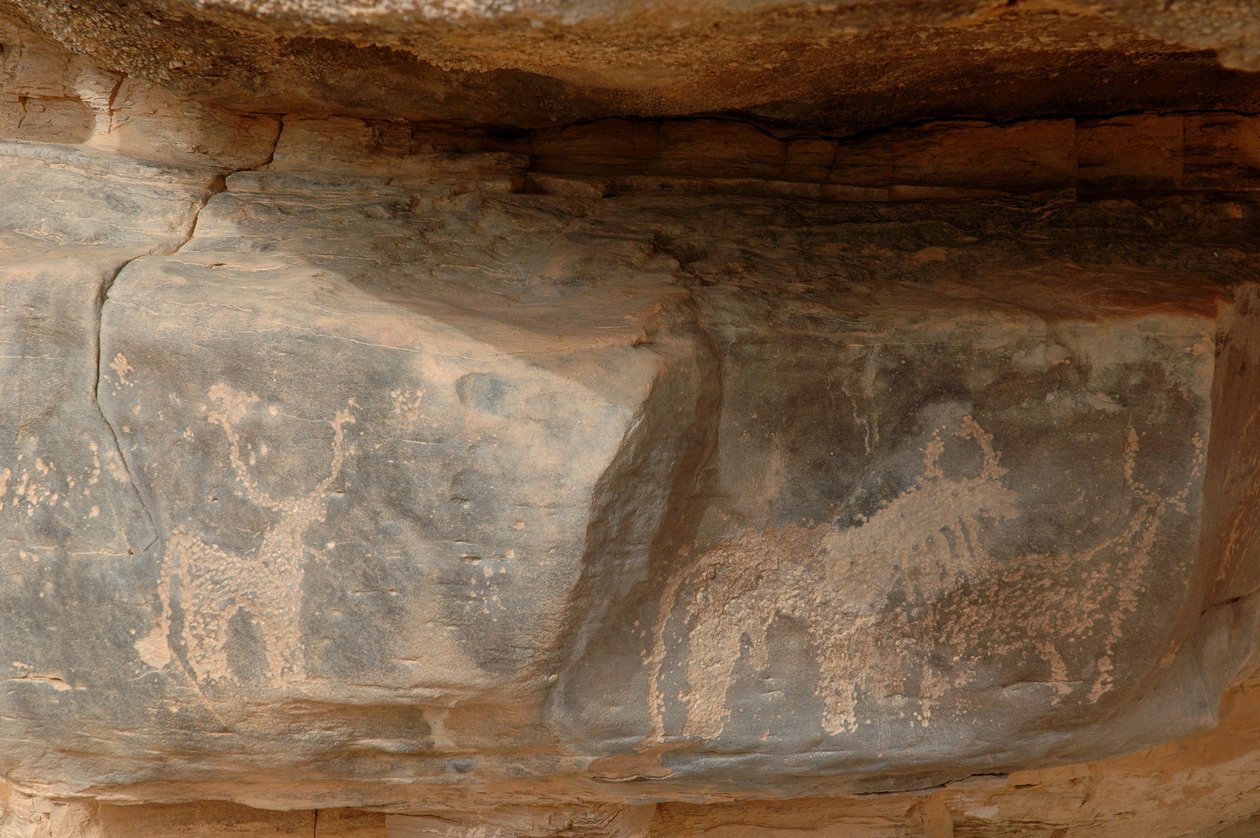 Bergkunst, forhistorie: Gravering av tre storfe i Uweinat-massivet, Sudan (Karkur-Talh eller Karkur Talh). Periode fra 8000 til 3000 år f.Kr. Fotografering av Unbekannt