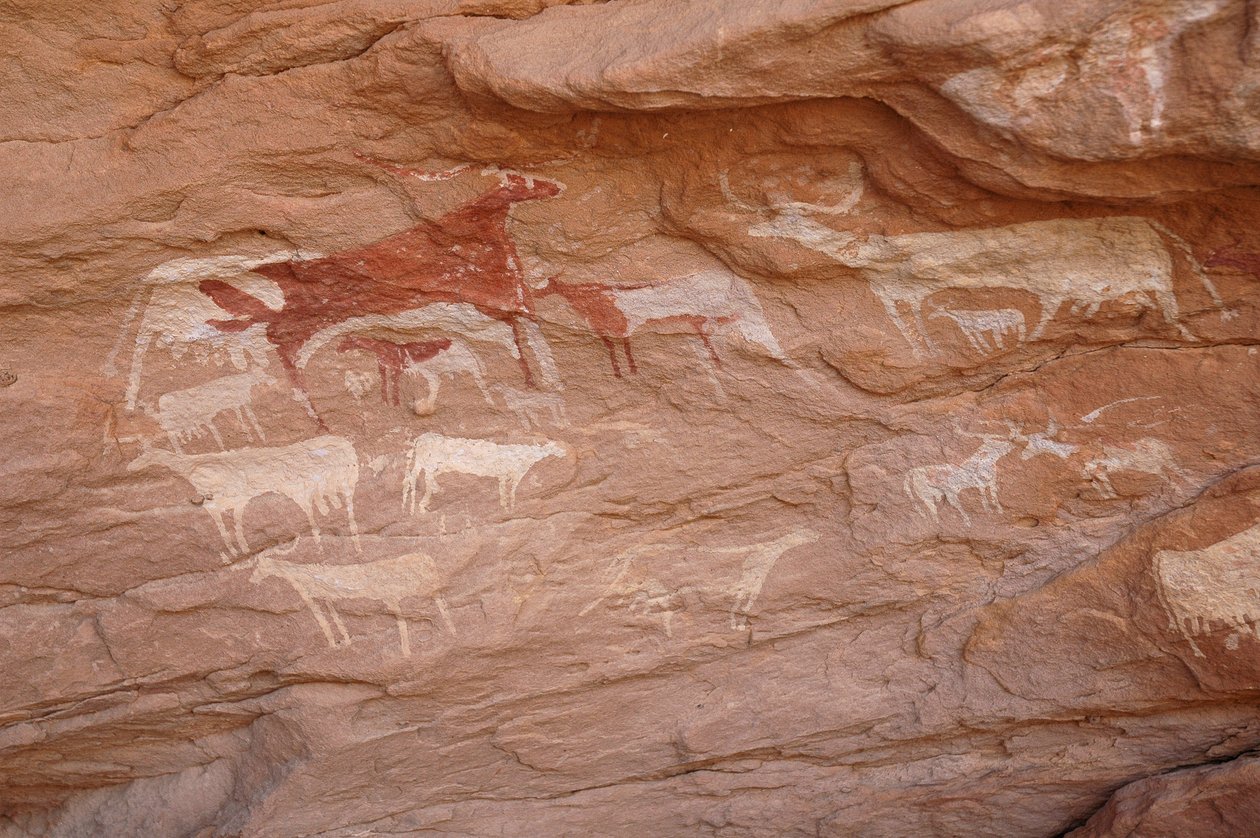 Bergkunst, forhistorie: Maleri av et sett med storfe i et utsmykket ly, i Uweinat-massivet, Sudan (Karkur-Talh eller Karkur Talh). Periode fra 8000 til 3000 år f.Kr. Fotografering av Unbekannt