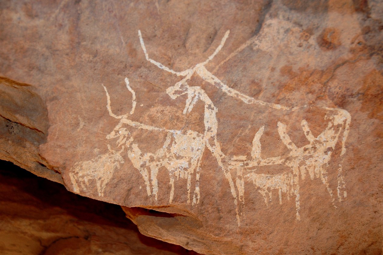 Bergkunst, forhistorie: Steinmaleri storfe med store horn i et ly utsmykket i Uweinat-massivet, Sudan (Karkur-Talh eller Karkur Talh). Periode fra 8000 til 3000 år f.Kr. Fotografering av Unbekannt