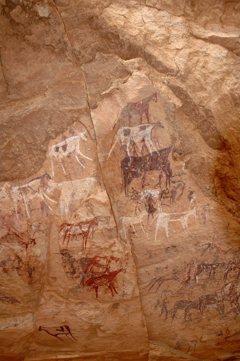 Bergkunst, forhistorie: Bergmaleri av en gruppe storfe og karakterer i et utsmykket ly, i Uweinat-massivet, Sudan (Karkur-Talh eller Karkur Talh). Periode fra 8000 til 3000 år f.Kr. Fotografering av Unbekannt