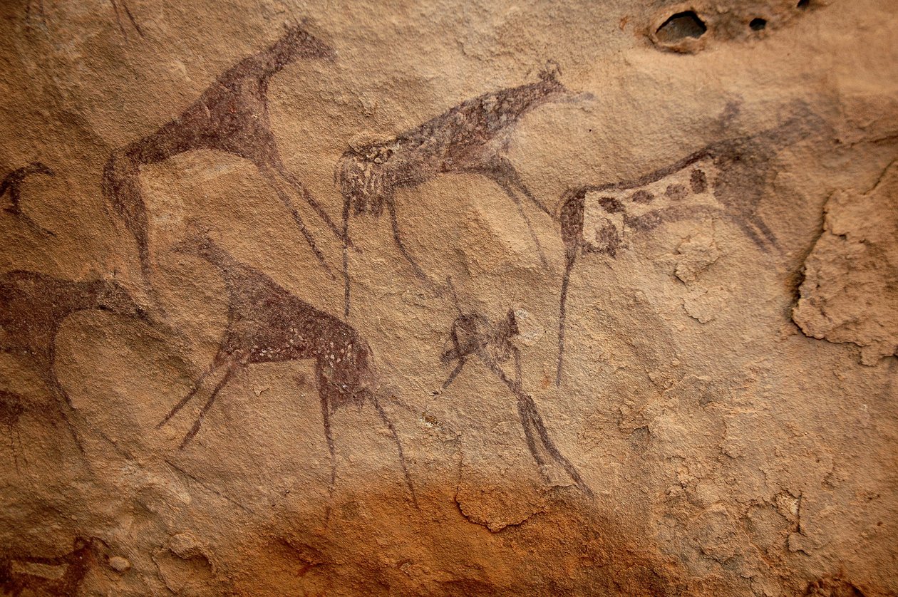 Bergkunst, forhistorie: Steinmaleri av en gruppe storfe og polykrome karakterer i et utsmykket ly, i Uweinat-massivet, Sudan. Periode fra 8000 til 3000 år f.Kr. Fotografering av Unbekannt