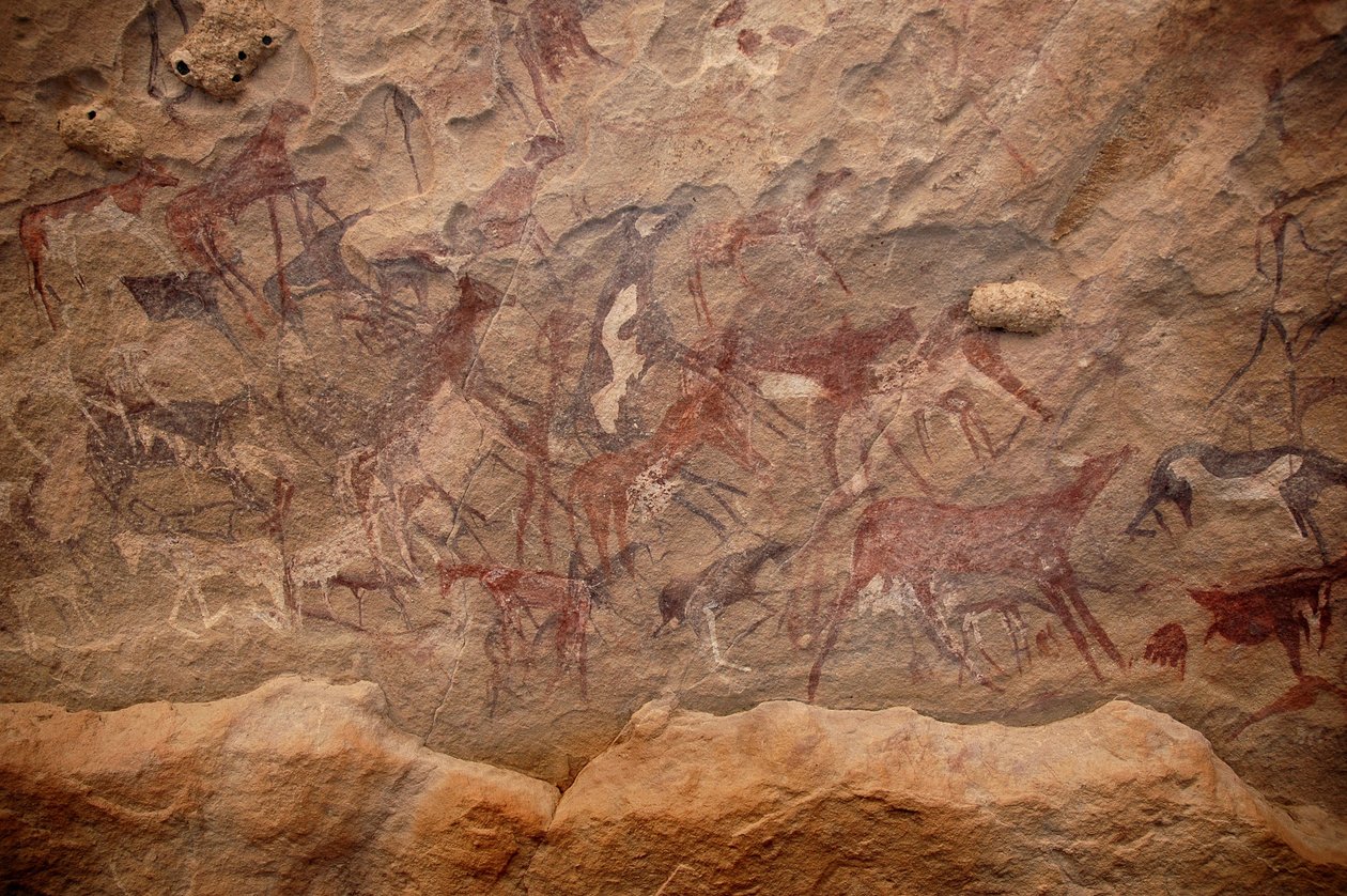 Bergkunst, forhistorie: Bergmaleri av en gruppe storfe og polykrome karakterer i et utsmykket ly, i Uweinat-massivet, Sudan. Periode fra 8000 til 3000 år f.Kr. Fotografering av Unbekannt