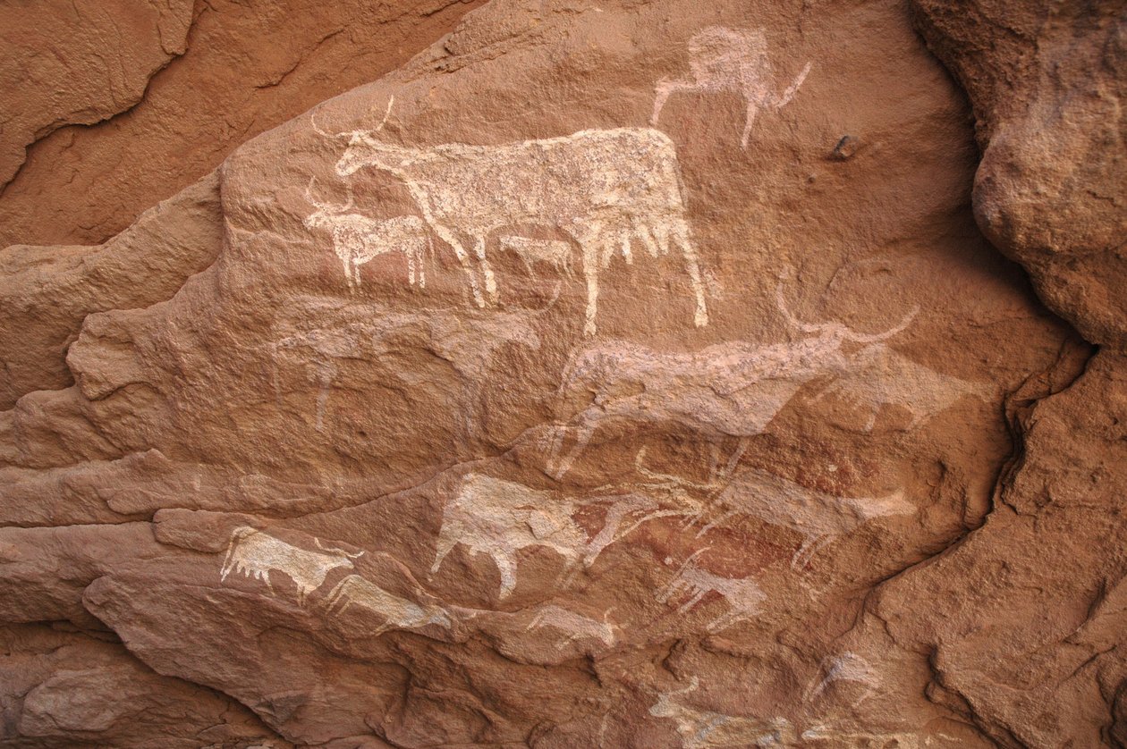 Bergkunst, forhistorie: Bergmaleri av en gruppe storfe i et utsmykket ly, i Uweinat-massivet, Sudan (Karkur-Talh eller Karkur Talh). Periode fra 8000 til 3000 år f.Kr. Fotografering av Unbekannt