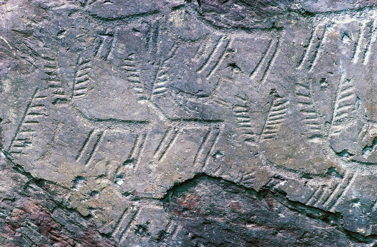 Helleristninger i Massi di Cemmo nasjonale arkeologiske park, Val Camonica (Unescos verdensarvliste av William M. Timlin