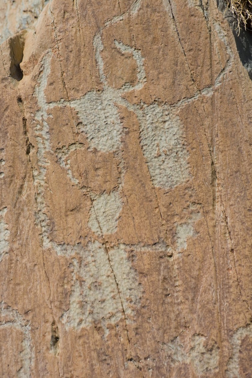 Berggraveringer av Vallee de Fontanalba/Corniformes emboites eller storfe/Mercantour nasjonalpark/Tende/Alpes-Maritimes/Frankrike av Unbekannt