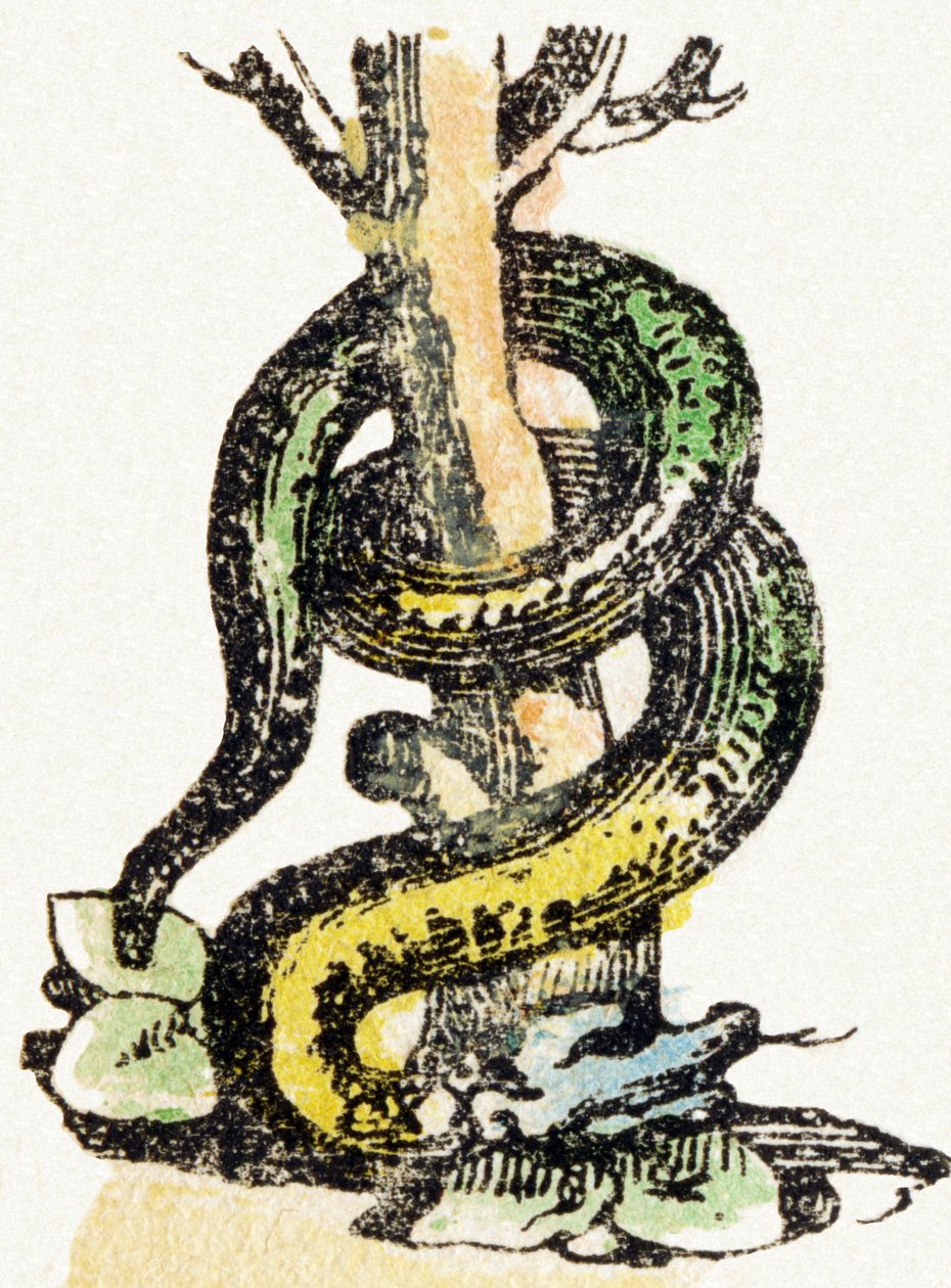 S - Serpent - Child Entertainment Alphabet ca. 1890 (litografi) av Unbekannt