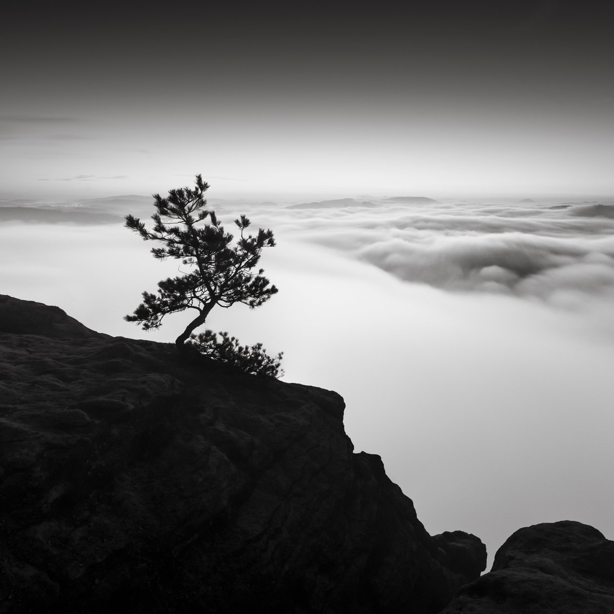 Saxon Switzerland Kingdom, Tyskland, 2015 (s/hvitt-bilde) av Leopold Blonder