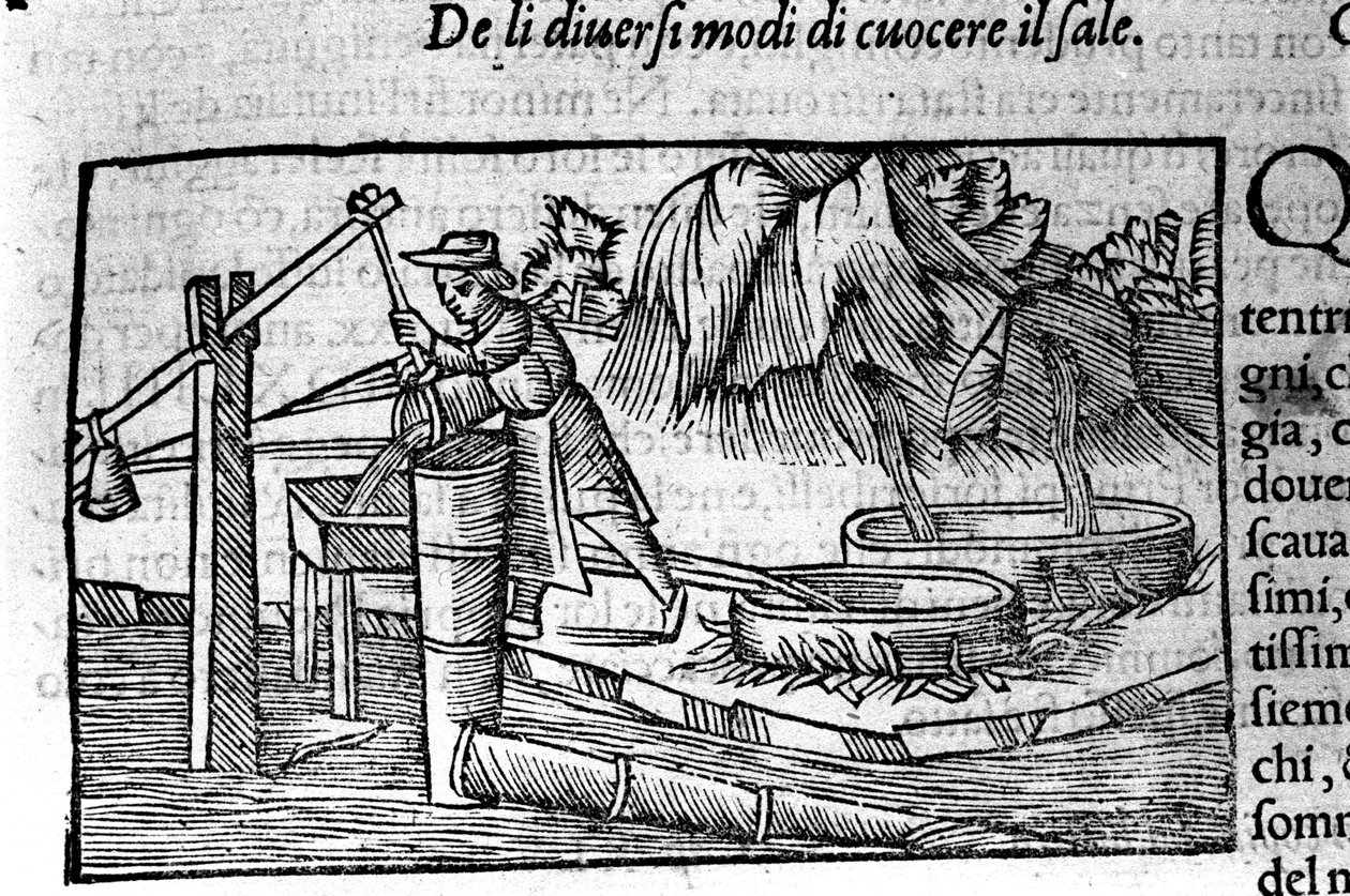 Saltproduksjon: matlaging. Gravering av Olaus Magnus (1490 - 1557), svensk religiøs og geograf, "History of the Northern Nation", Venezia av Unbekannt