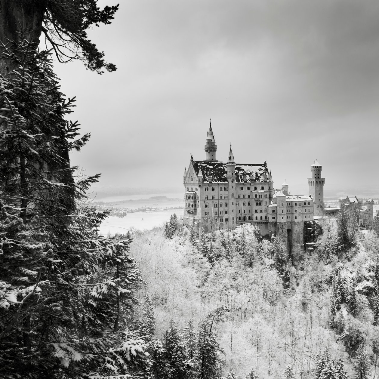 Neuschwanstein slott, Füssen, Tyskland, 2013 (s/hvitt-bilde) av Leopold Blonder