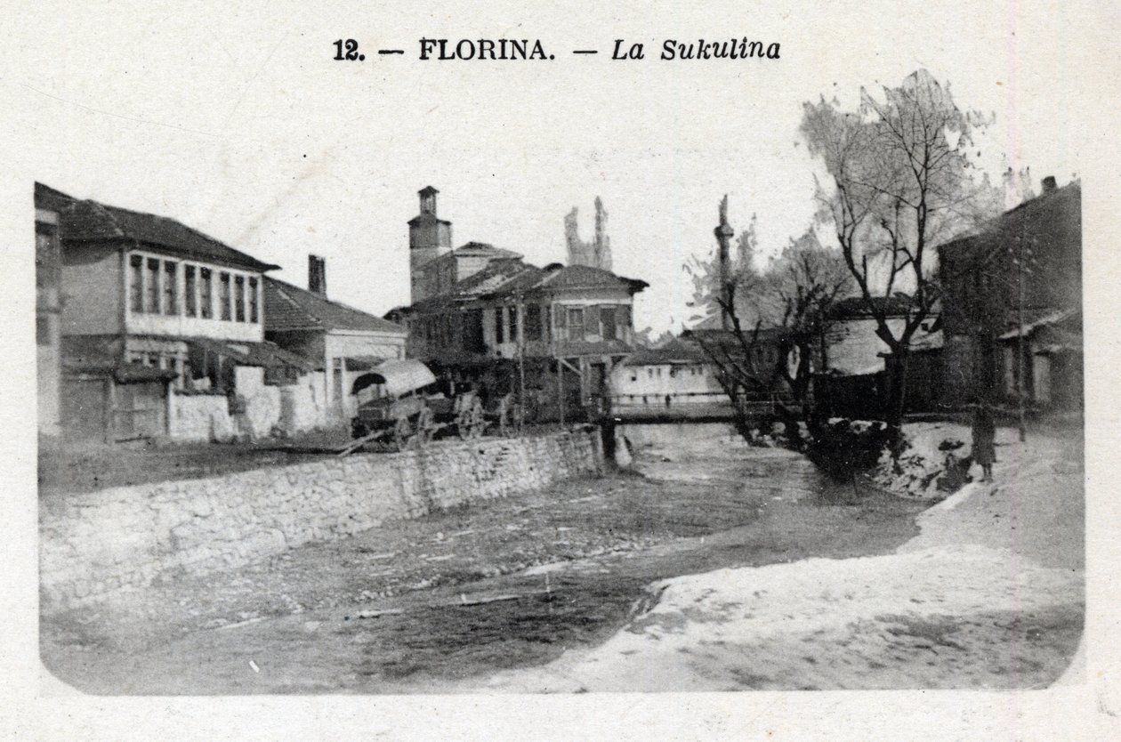 Serbia, Florina (dagens Hellas): utsikt over Sukulina - Postkort 1914-1918 av William M. Timlin