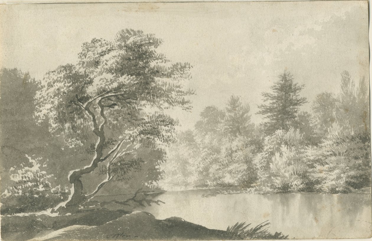 Shenstone - Pool nær Little Aston: sepia vask tegning, nd [19. århundre] av Unbekannt