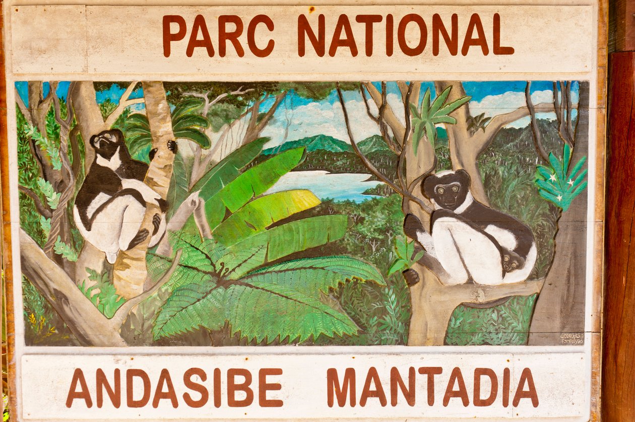 Skilt som viser lemurer i jungelen; Andasibe-Mantadia nasjonalpark; Madagaskar; Afrika av Unbekannt