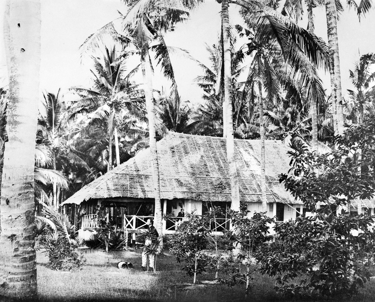 Singapore: En privat bungalow omgitt av palmetrær. Singapore, c1875 av Unbekannt