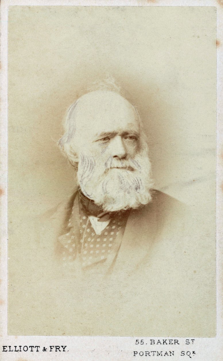 Sir Charles Lyell, engelsk geolog, c1865-1875 av Unbekannt