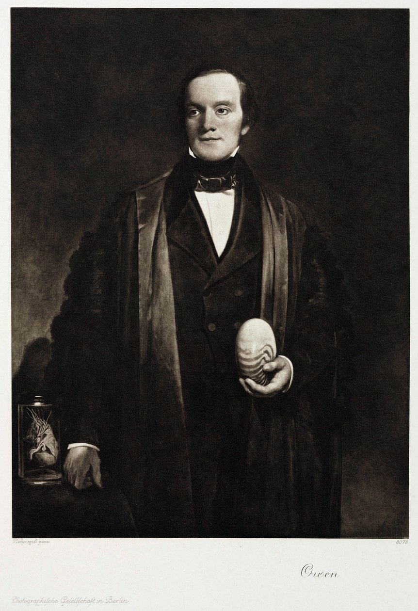 Sir Richard Owen, engelsk naturforsker og paleontolog, ca 1845 av Unbekannt