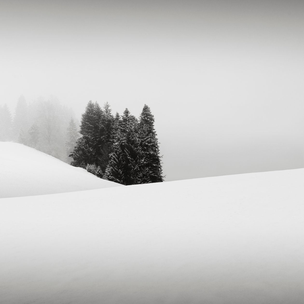 Snowytales Oasis, Bayern, Tyskland, 2013 (s/hvitt-bilde) av Leopold Blonder