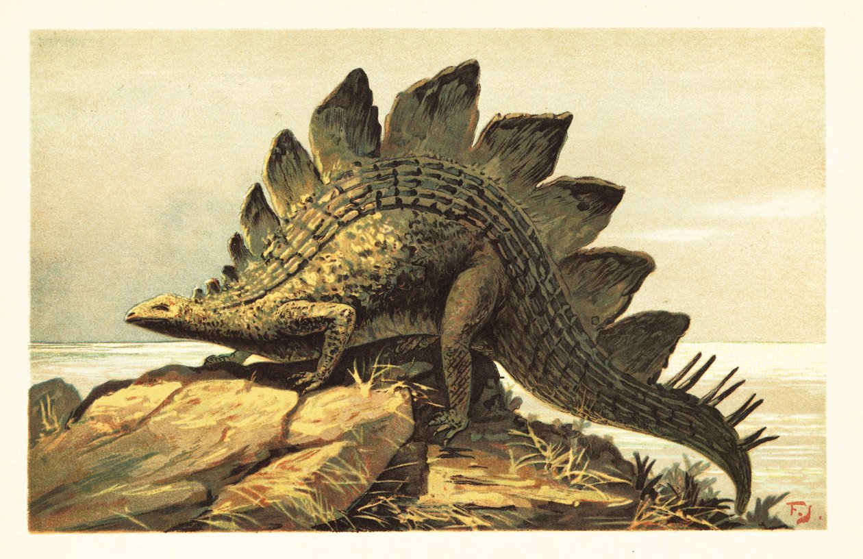 Stegosaurus, utdødd slekt av planteetende dinosaur. 1908 (litografi) av Unbekannter Künstler