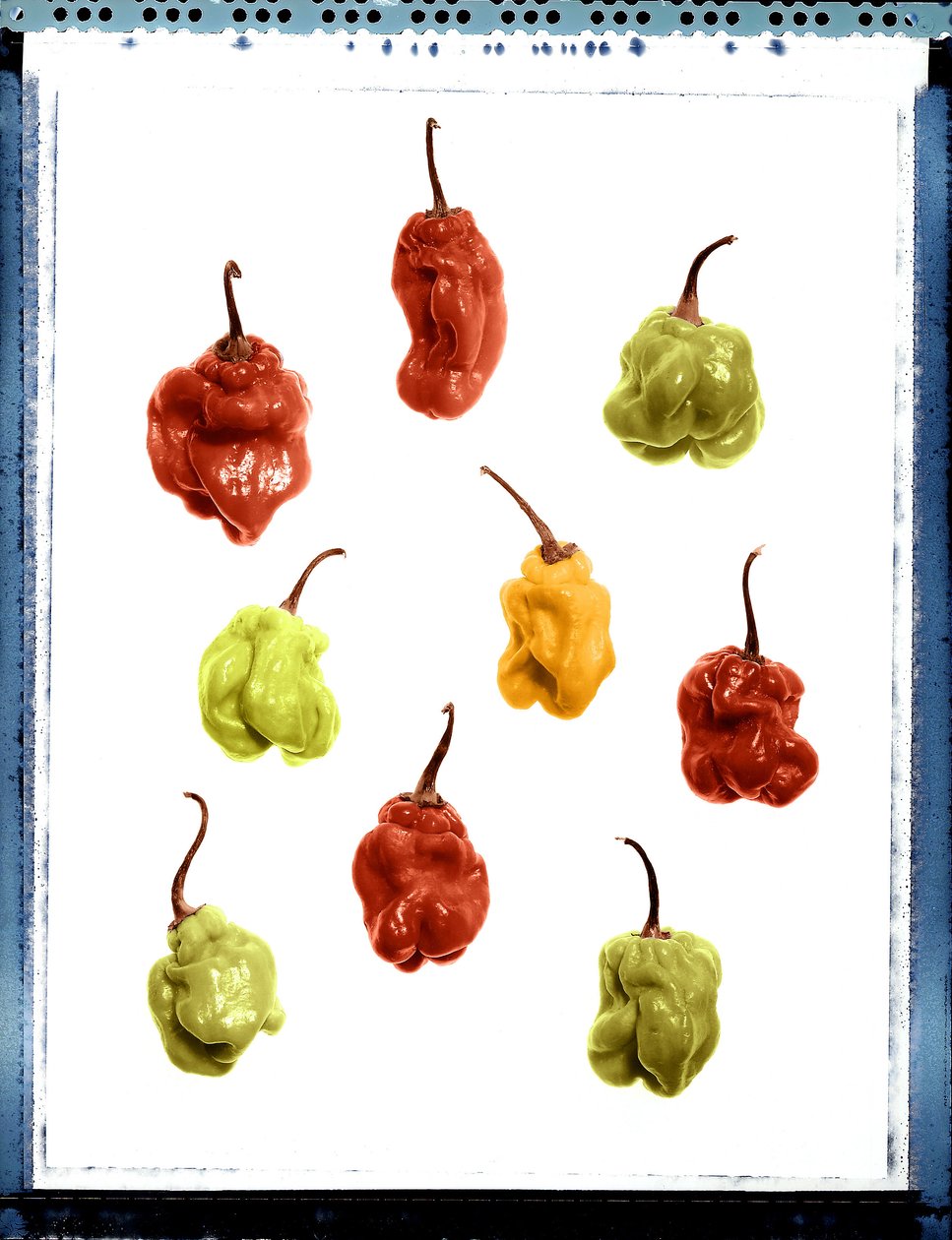 Stilleben av gul, rød og grønn paprika av Unbekannt