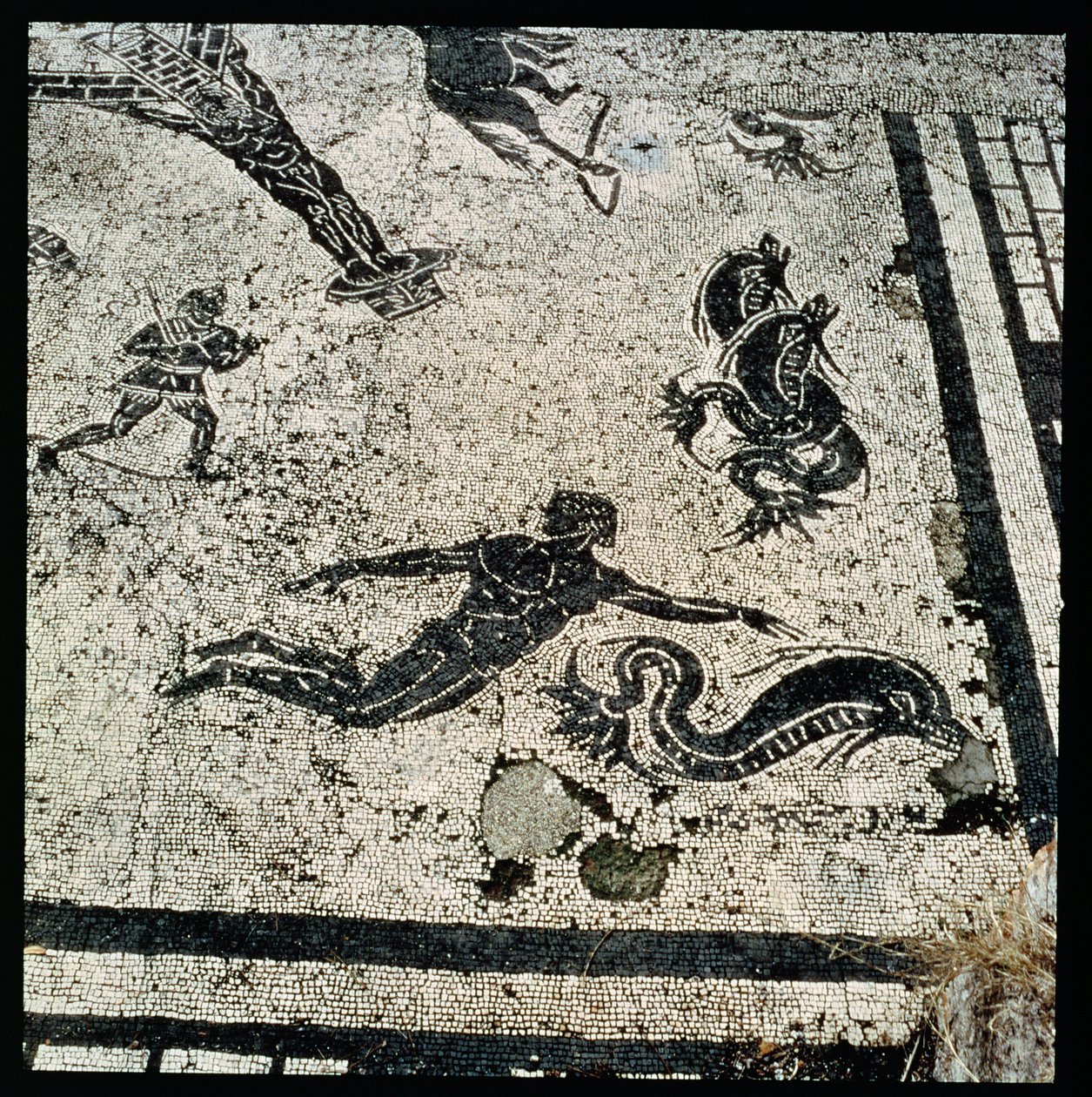 Svømming med delfinene, fra Frigidarium of the Baths i Ostia, 2. århundre e.Kr. (mosaikk) av Unknown
