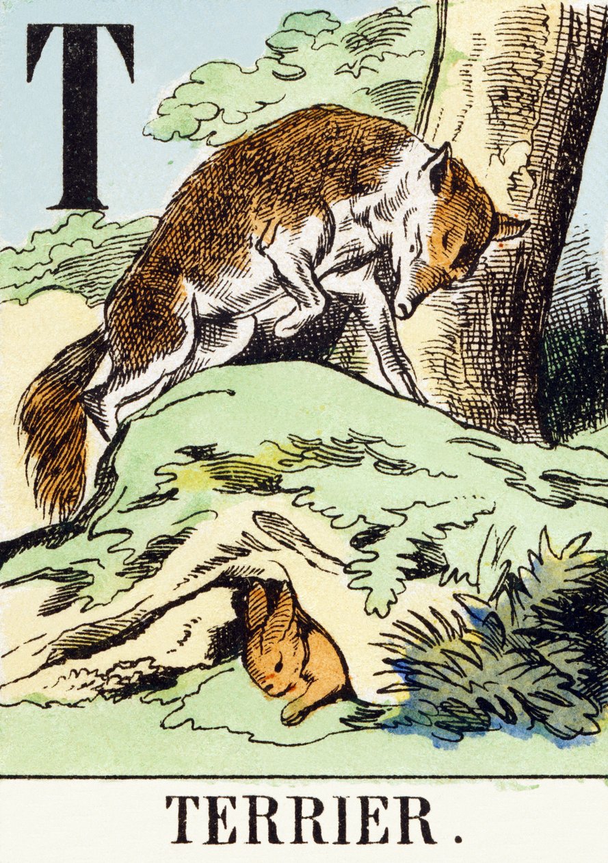 T : Terrier - The Hunting Alphabet, ca. 1890 (gravering) av Unbekannt