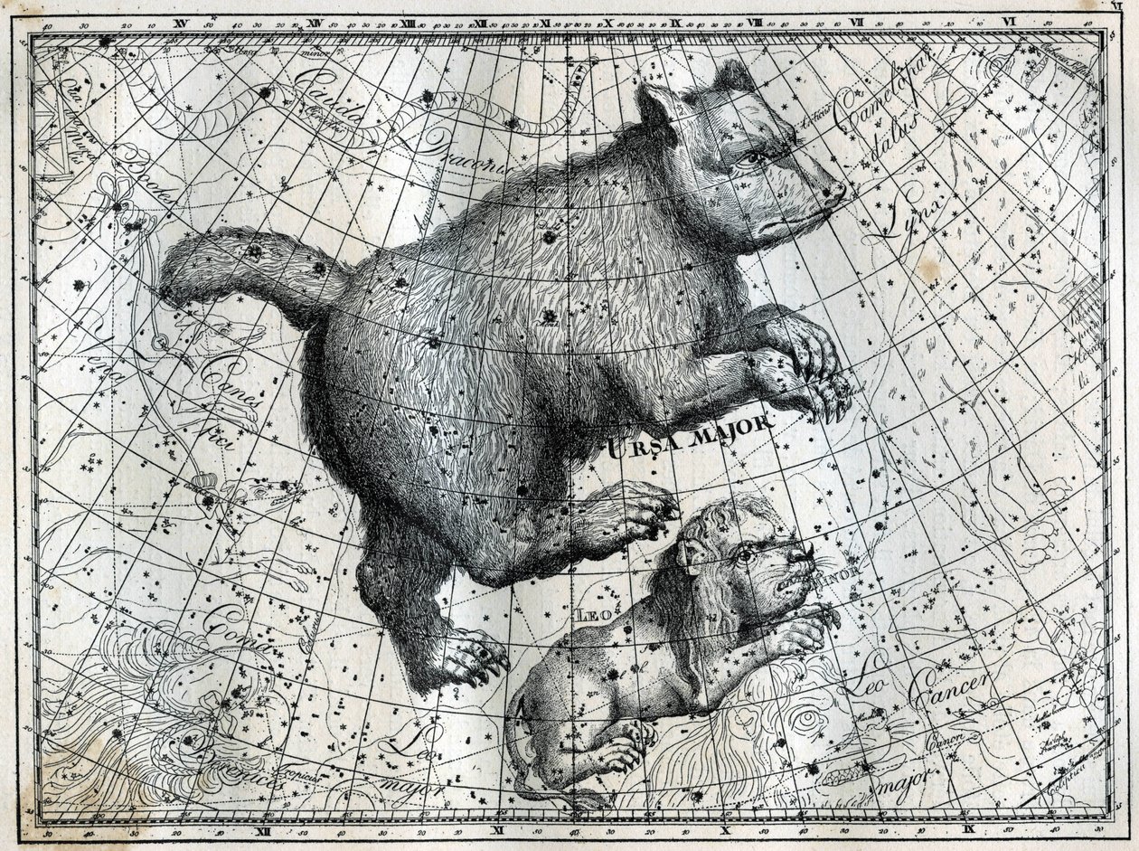 De boreale stjernebildene: den store bjørnen og den lille løven. Gravering fra Camille Flammarions "The Stars and Other Curiosities of the Sky" av Unbekannt