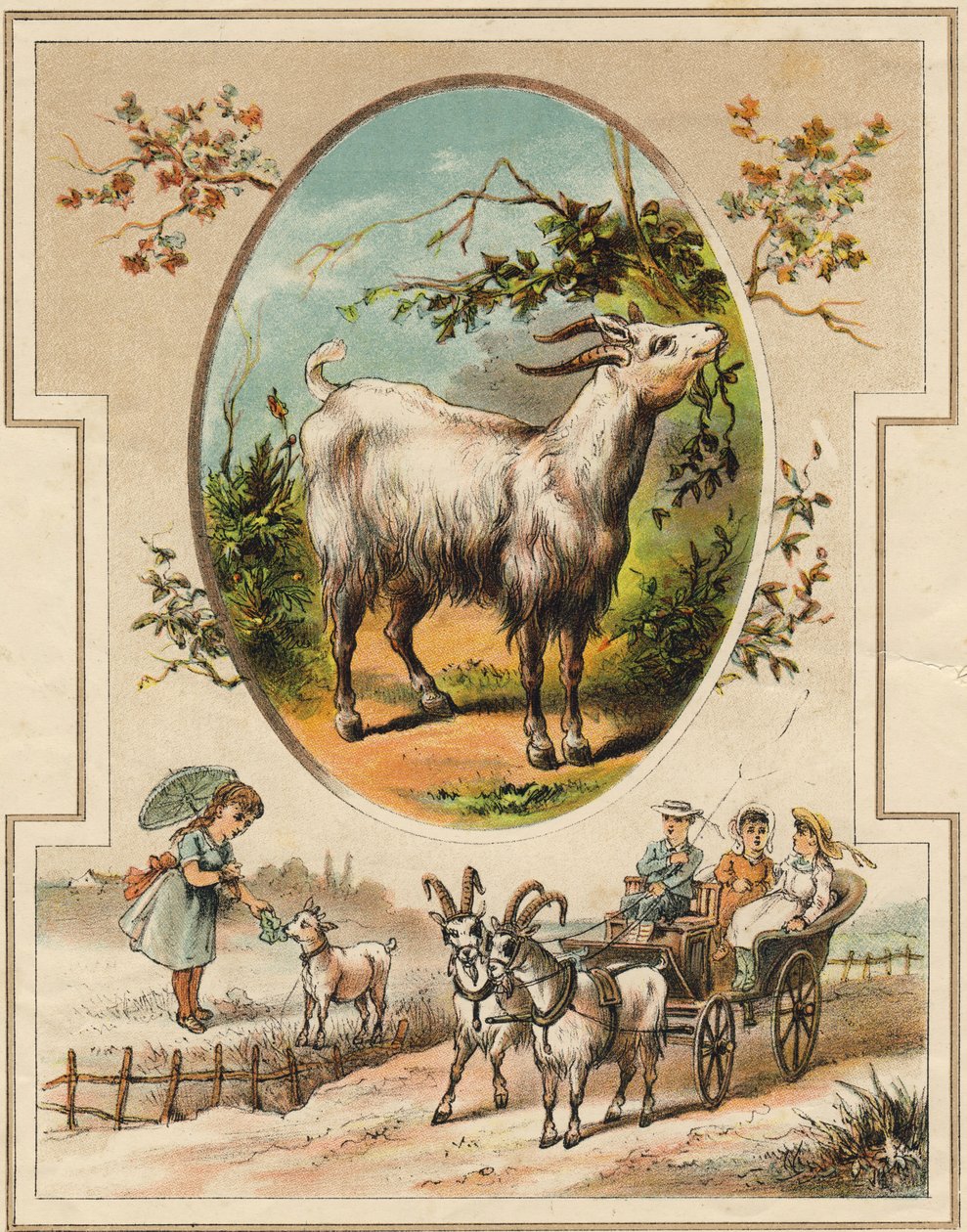 Bukken. Gravering i "Mon premier Grand Alphabet". Bernardin-Bechet Edition, Paris, ca 1890. Illustrasjoner av A. des Lilleuls. Ingen side, 46 sider. Mål: 31x22 cm. av Unbekannt