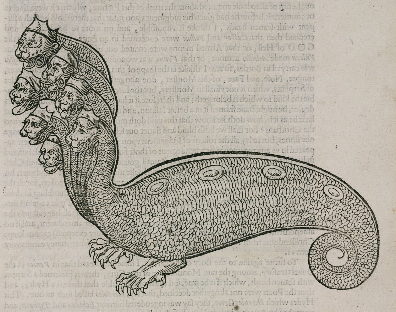 Hydraen av Unbekannt