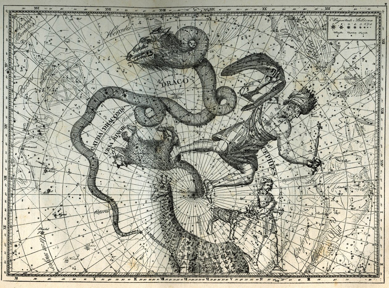 De nærliggende stjernebildene på Nordpolen: Lille bjørn, Drage, Cephee, Giraffe, Reinsdyr og Messier. Gravering fra Camille Flammarions "The Stars and Other Curiosities of the Sky" av Unbekannt