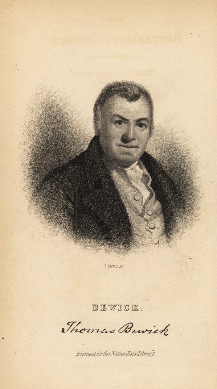 Thomas Bewick, engelsk gravør og naturhistorisk forfatter av Unbekannt