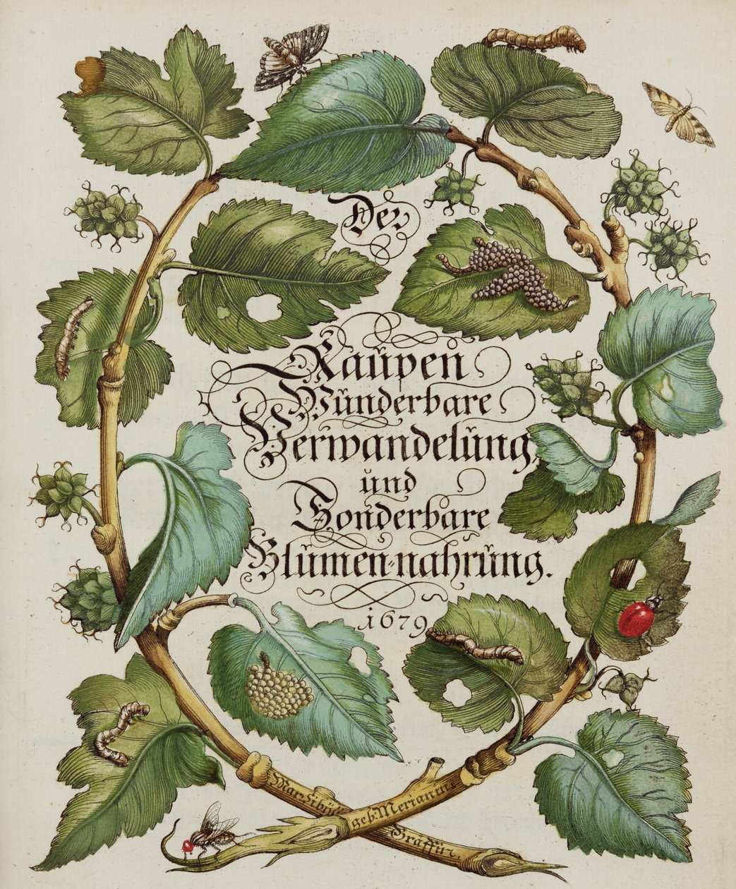 Tittelside fra naturhistorisk bok av Alec Hunter