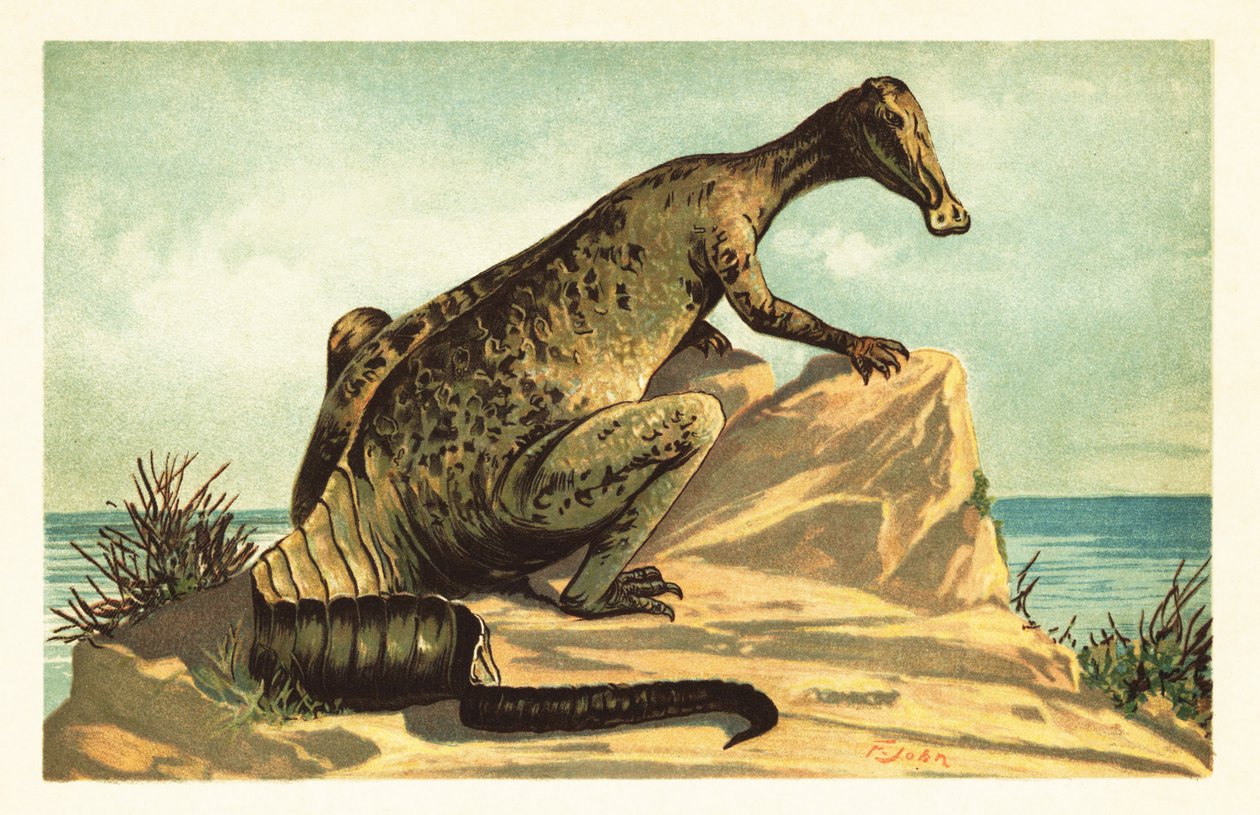 Trachodon mirabilis, utdødd hadrosaurad dinosaur.1908 (litografi) av Unbekannter Künstler