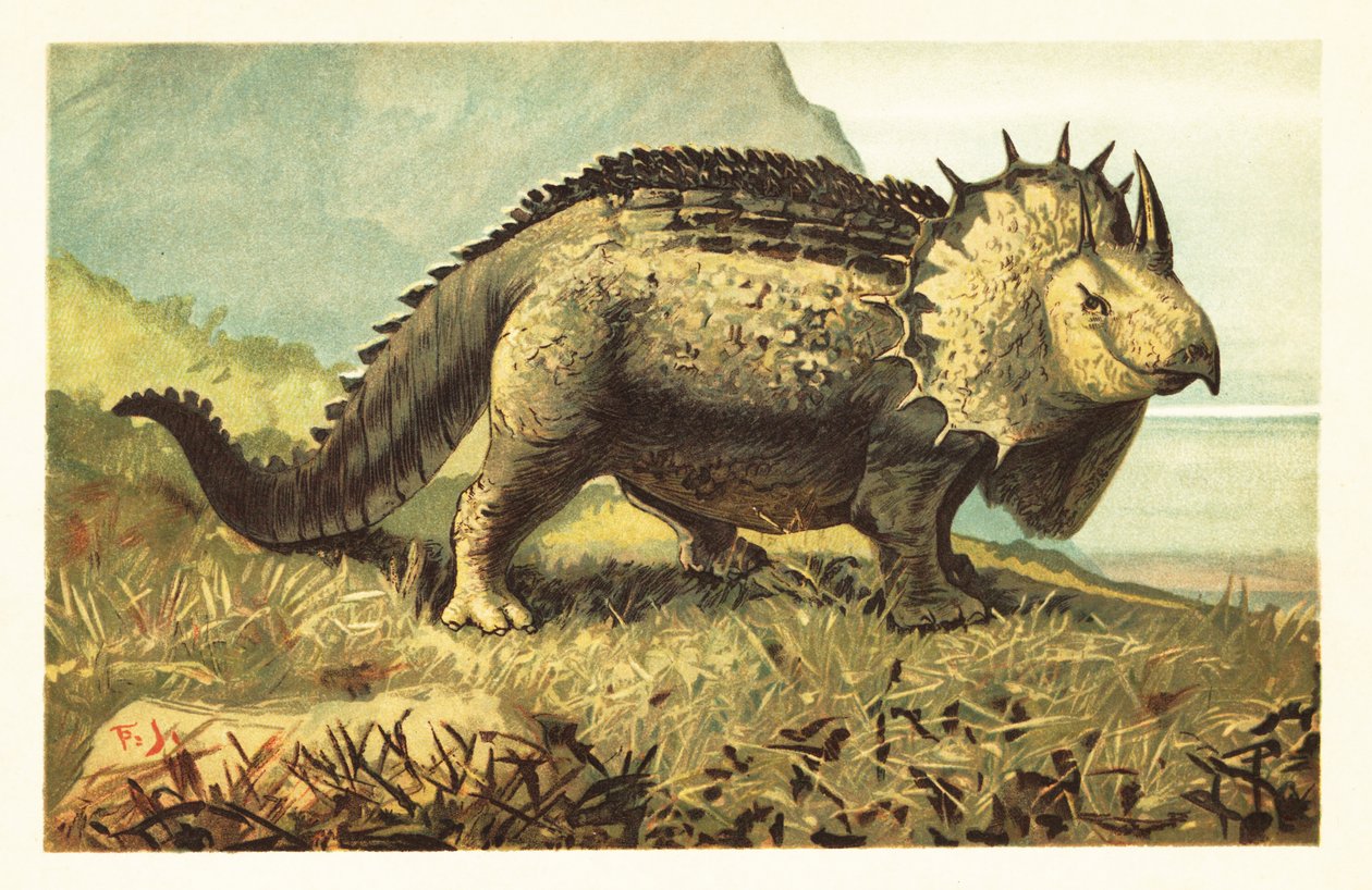 Triceratops prorsus, utdødd planteetende dinosaur.1908 (litografi) av Unbekannter Künstler