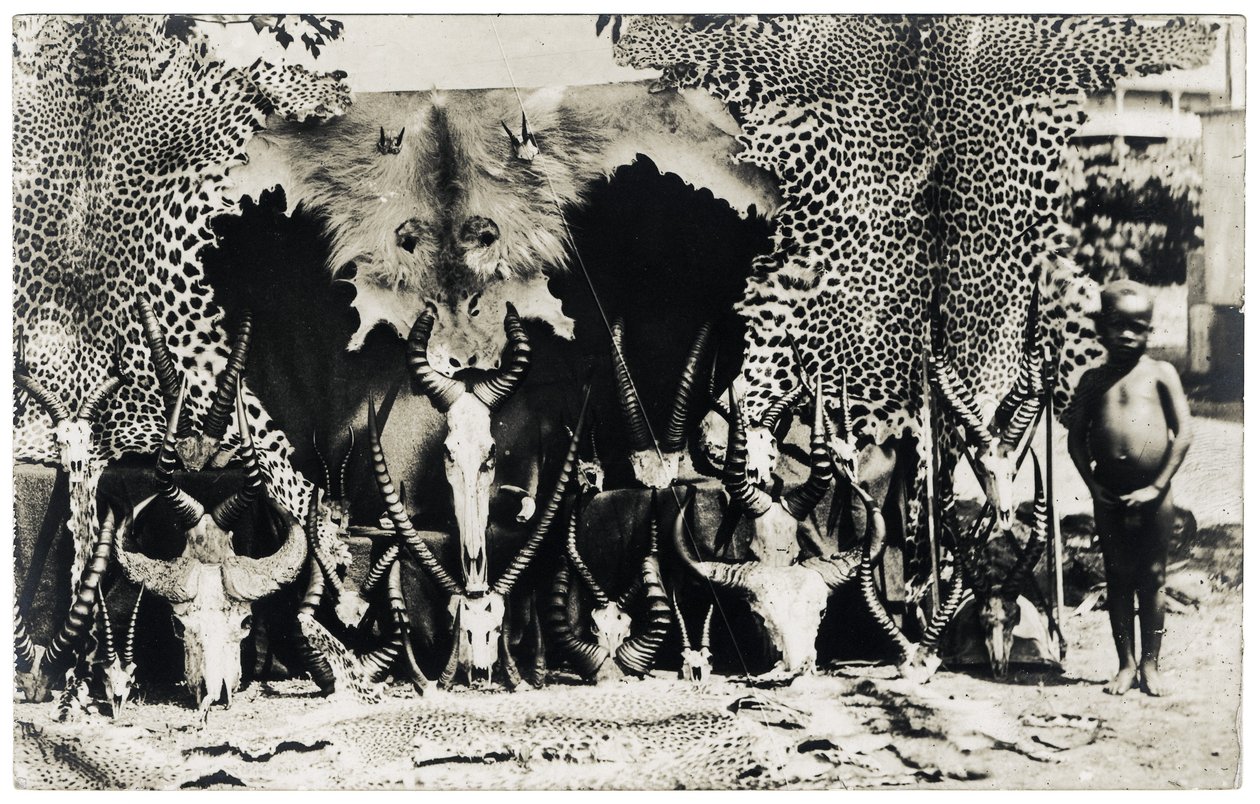 Troféer, ca. 1910 (s/hvitt-bilde) av Unbekannter Künstler