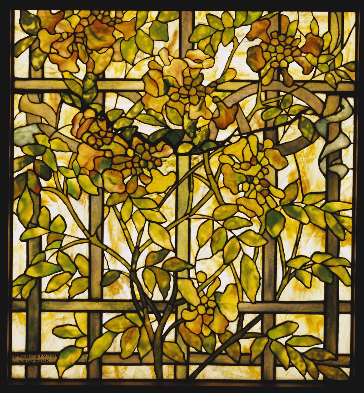 Trumpet Vine glassvindu, Tiffany Studios av Unbekannt