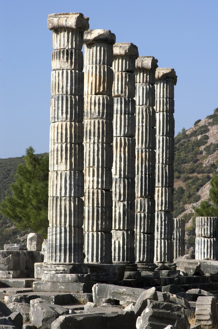 Tyrkia Pyrene sørlige kysten over sletten ved elven Meander tempelet til gudinnen Athena av Unbekannt