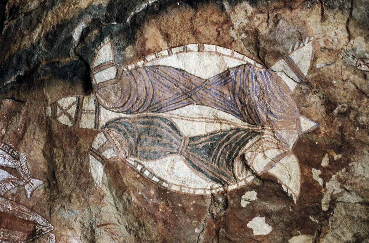 Skilpadde, bergmaleri, Arnhem Land, Northern Territory, Australia, Aboriginal kultur av Benjamin Baud