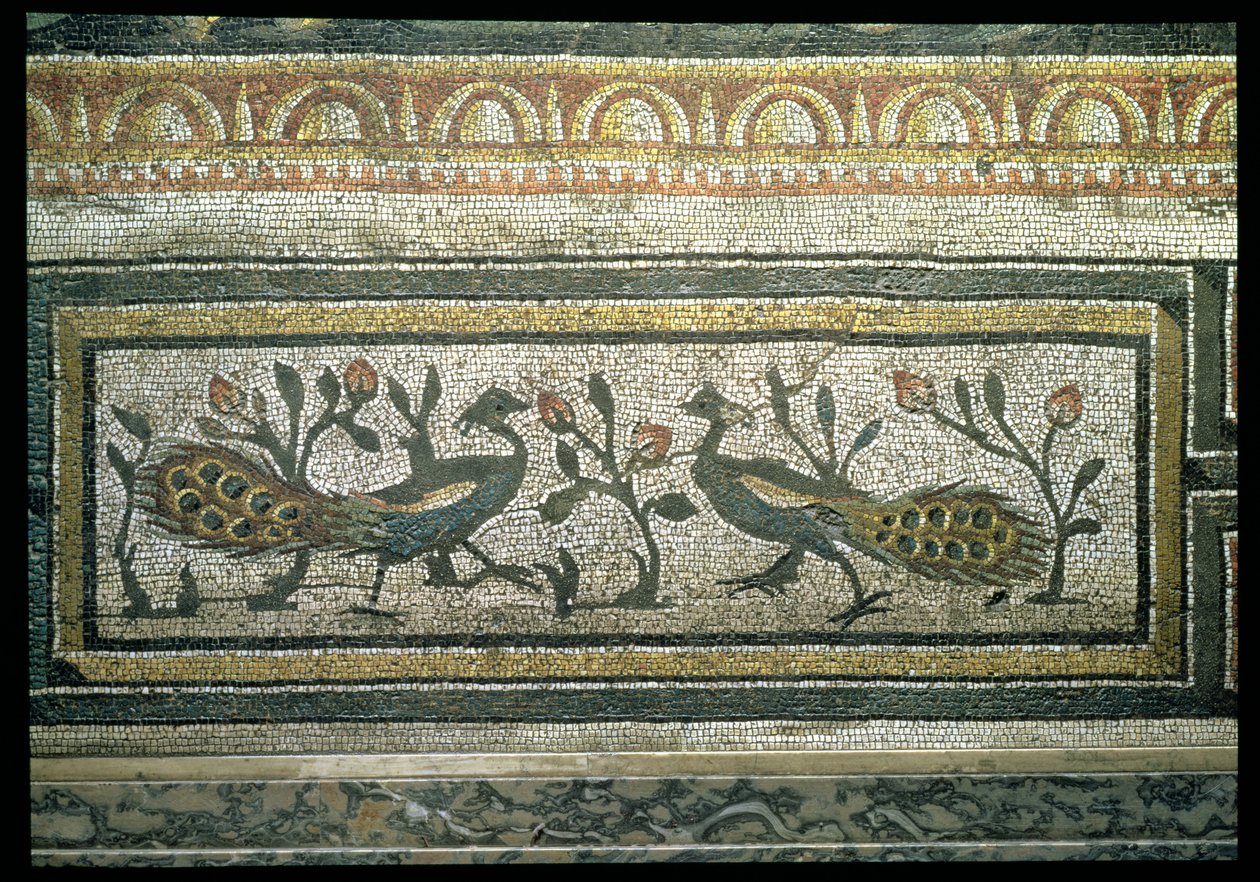 To påfugler, dekorativ kantdetalj fra et mosaikkfortau som viser årstidene og jaktscenene, fra den konstantinske villaen i Daphne, Roman, ca. 325-330 e.Kr. (marmor, kalkstein og glassmosaikk) (detalj av 105665) av Unbekannt